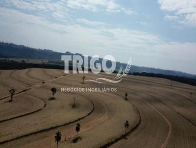 Fazenda para Venda, em Ribeiro Bonito, bairro Zona Rural