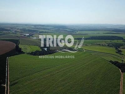 Fazenda para Venda, em Casa Branca, bairro Zona Rural