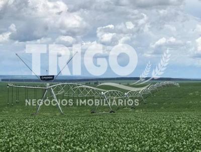Fazenda para Venda, em Ipameri, bairro Zona Rural