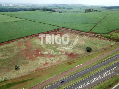 rea para Venda, em Ribeiro Preto, bairro Engenheiro Carlos de Lacerda Chaves