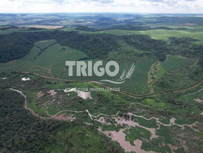 Fazenda para Venda, em Ibat, bairro Zona Rural