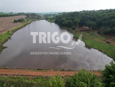 Fazenda para Venda, em Ipauu, bairro Zona Rural