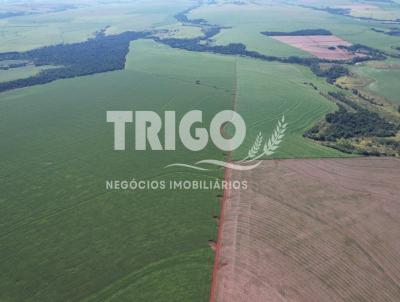 Fazenda para Venda, em Munhoz de Melo, bairro Zona Rural