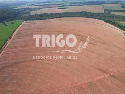 Stio para Venda, em Tamba, bairro Zona Rural