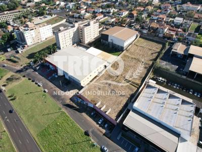 rea para Venda, em Ribeiro Preto, bairro Ribeirnia