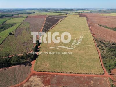 Fazenda para Venda, em Tabapu, bairro Zona Rural