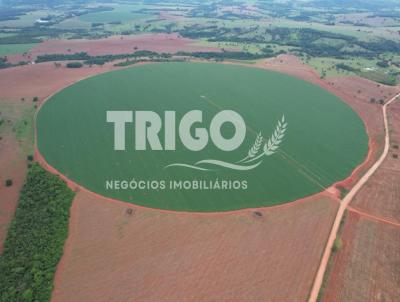 Fazenda para Venda, em Morrinhos, bairro Zona Rural