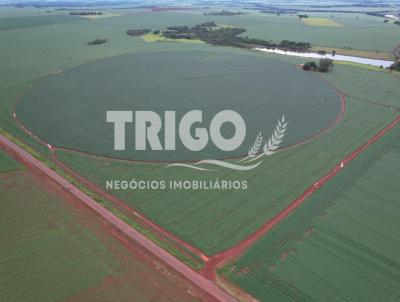 Fazenda para Venda, em Acrena, bairro Zona Rural