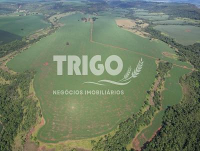 Fazenda para Venda, em Rio Verde, bairro Zona Rural