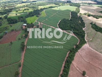 Stio para Venda, em Cajuru, bairro Zona Rural