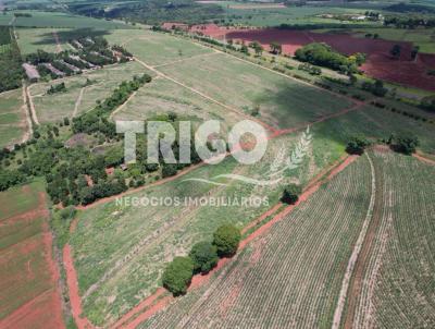 Stio para Venda, em Casa Branca, bairro Zona Rural