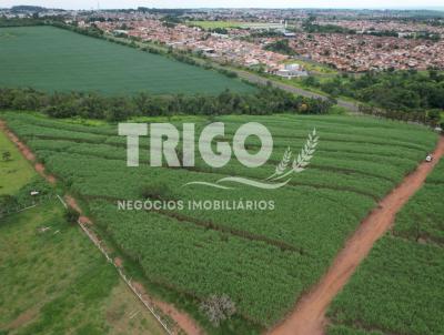 Stio para Venda, em Batatais, bairro Zona Rural