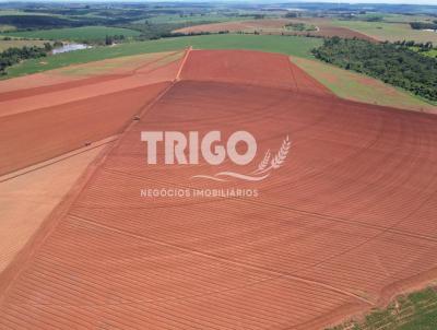 Fazenda para Venda, em Perdizes, bairro Zona Rural