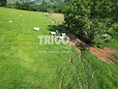 Stio para Venda, em So Sebastio do Paraso, bairro Zona Rural