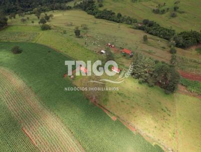 Stio para Venda, em Cajuru, bairro Zona Rural