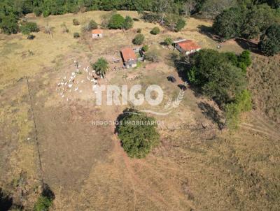 Stio para Venda, em Santo Antnio da Alegria, bairro Zona Rural