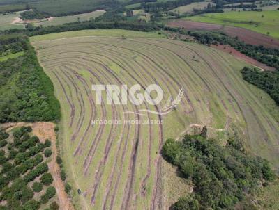 Fazenda para Venda, em Cssia dos Coqueiros, bairro Zona Rural