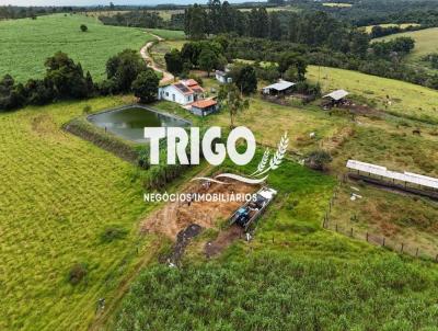Stio para Venda, em Cssia dos Coqueiros, bairro Zona Rural