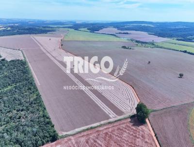 Fazenda para Venda, em Caldas Novas, bairro Zona Rural