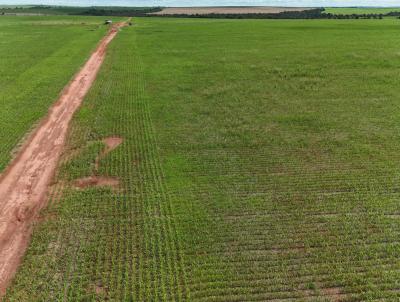 Fazenda para Venda, em Uberlndia, bairro Zona Rural