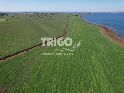 Fazenda para Venda, em Quirinpolis, bairro Zona Rural