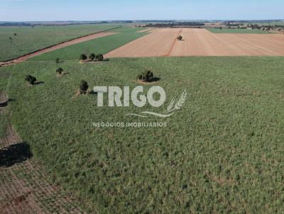 Fazenda para Venda, em Quirinpolis, bairro Zona Rural