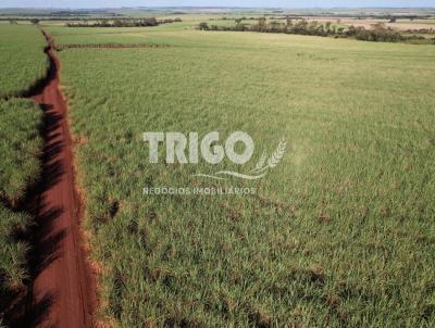 Fazenda para Venda, em Morro Agudo, bairro Zona Rural