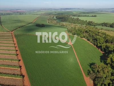 S�tio para Venda, em Jardin�polis, bairro Zona Rural