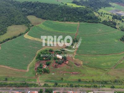 Fazenda para Venda, em Ribeir�o Preto, bairro Zona Rural