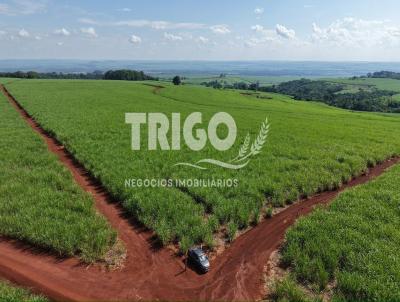 Fazenda para Venda, em Guatapar�, bairro Alto da Boa Vista