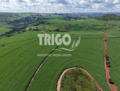 Fazenda para Venda, em Cajuru, bairro Zona Rural