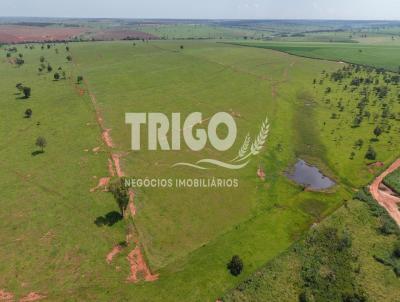 Fazenda para Venda, em Carneirinho, bairro Zona Rural