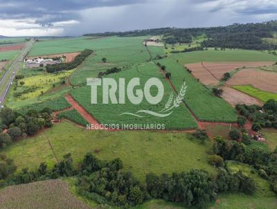 S�tio para Venda, em Aramina, bairro Zona Rural
