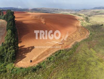 Fazenda para Venda, em Sacramento, bairro Zona Rural
