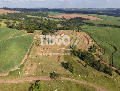 Fazenda para Venda, em Ibat�, bairro Zona Rural