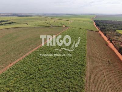Fazenda para Venda, em Col�mbia, bairro Zona Rural
