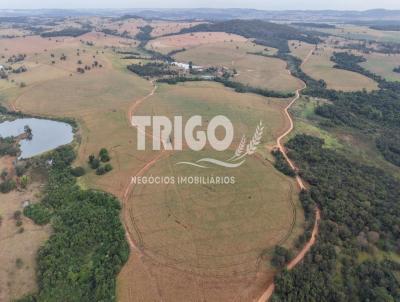 Fazenda para Venda, em Morrinhos, bairro Zona Rural