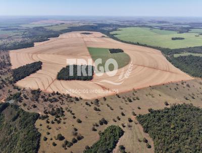Fazenda para Venda, em Cachoeira Alta, bairro Zona Rural