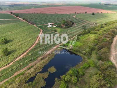 Fazenda para Venda, em It�polis, bairro Zona Rural