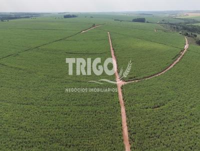 Fazenda para Venda, em It�polis, bairro Zona Rural
