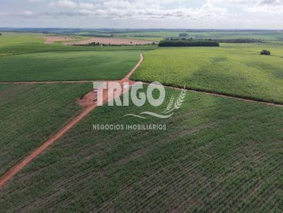 Fazenda para Venda, em It�polis, bairro Zona Rural