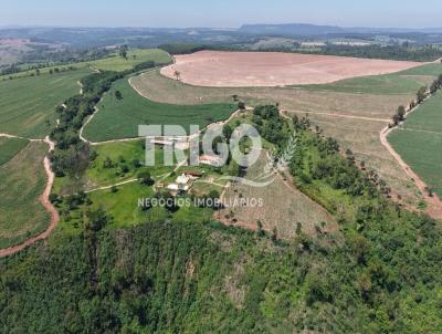 Fazenda para Venda, em Santa Rosa de Viterbo, bairro Zona Rural